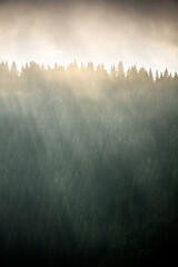 Sunset over forest in Carpathians