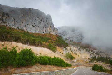 Asphalt road in a summer forest on a cloudy day. Crimean mountains