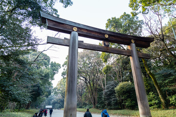 Crowds by torii gate of Meiji Shrine in Shibuya, Tokyo