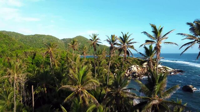 Aerial view on a beach with rock, palm trees in the sea on Tayrona National Natural Park, Colombia, South America from a drone