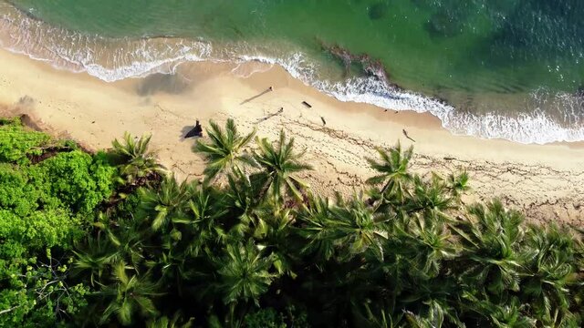 Aerial top view on a beach, palm trees on Caribbean sea on Tayrona National Natural Park, Colombia, South America from a drone