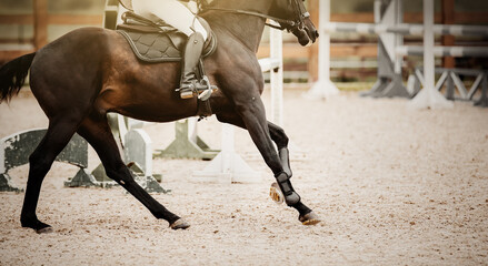 Equestrian sport. Galloping horse.