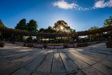 Fototapeta premium あしかがフラワーパーク 広場 藤