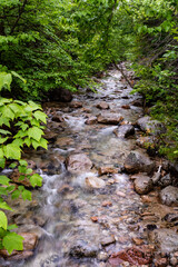 Obraz premium Roaring Brook cascades over rocks in Baxter State Park, Maine 