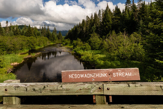 Nesowadnehunk stream is identified with a sign in Baxter State Park under blue sky with billowy clouds

