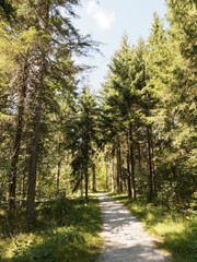 Bavarian landscape. Along the Weißach river,  'Riedlern fussweg', upstream of Wildbad and Kreuth flowing to the lake of Tegernsee in Upper Bavaria 