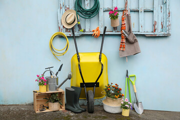 Beautiful plants, gardening tools and accessories near shed outdoors