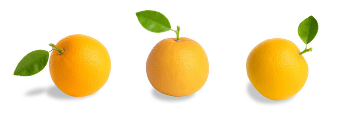 Three orange fruits isolated on white background