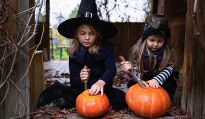 Fototapeta na wymiar Little girls make jack-o-lantern from big pumpkins for celebratiion of halloween holiday.Witch costume, hat, coat. Cut with knife,take out pulp with seeds.Outdoors activity, backyard.Children's party