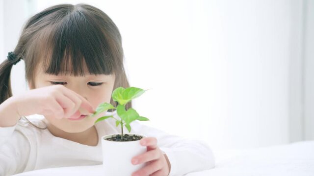 植物を見る女の子　環境イメージ　スローモーション