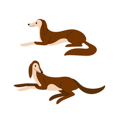 Greyhound. Cute dog character. Vector illustration in cartoon style for poster, postcard.