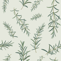 Naklejka na ściany i meble Branch of rosemary. Trendy pattern with twig. Contour vector illustration on white background.