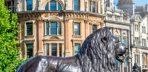 Lion statue in Trafalgar Square, London