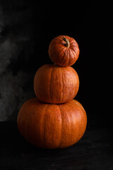 pumpkin on black background