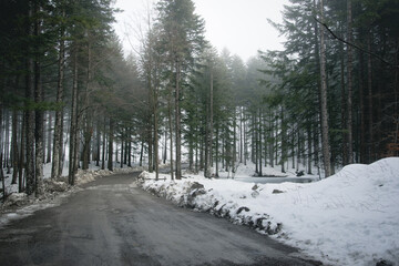 Icy road in winter forest with mist