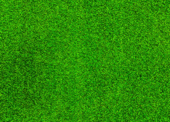 Plakat Green grass texture background grass garden concept used for making green background football pitch, Grass Golf, artificial grass, green lawn pattern textured background.