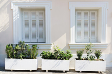Fototapeta na wymiar White antique windows in a light beige wall. Green plants outdoors near house. Athens, Greece.
