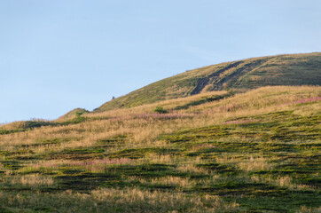 Obraz premium landscape in the mountains