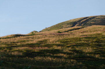 Obraz premium landscape in the mountains