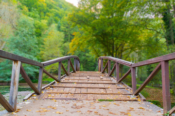 A long wooden bridge with autumn leaves fades away in stunning and colorful forest.