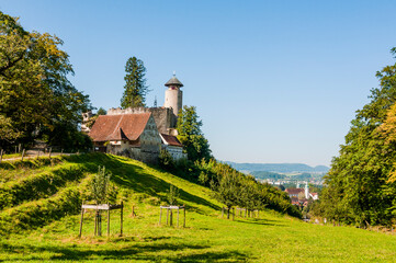 Arlesheim, Schloss Birseck, Ermitage, Dornach, Birseck, Landwirtschaft, Wald, Spazierweg,...