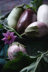 White, green, violet and striped eggplants on dark wooden table .