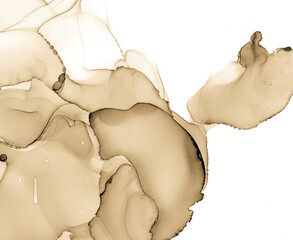 Alcohol Ink Texture. Art Hand Abstract Print. Mix