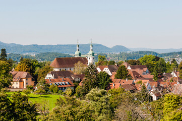 Arlesheim, Arlesheimer Dom, Dom, Domkirche, Dorfplatz, Dorf, Landwirtschaft, Obstbäume, Weinberge,...