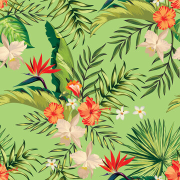 Vector tropic pattern. Flowers, jungle [palm leaves, hibiscus. Seamless tropical pattern. 