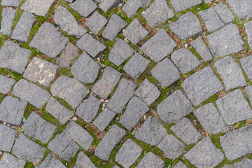 stone background of cobblestones and moss old square of european city