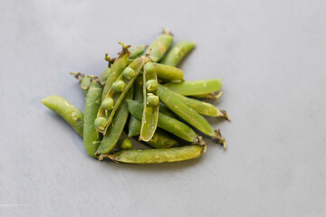 old peas with open pods sprout on gray background