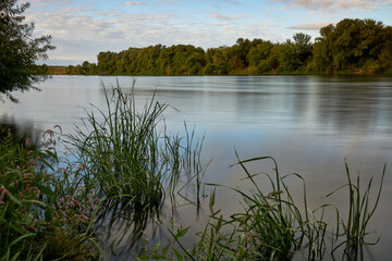 Don river bank in summer