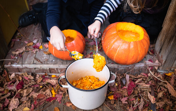Little girls make jack-o-lantern from big pumpkins for celebratiion of halloween holiday.Witch costume, hat, coat. Cut with knife,take out pulp with seeds.Outdoors activity, backyard.Children's party