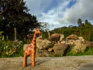 Handcrafted wooden animal figurines photographed in natural environments at sunset in a farm house near the colonial town of Villa de Leyva, in Colombia.