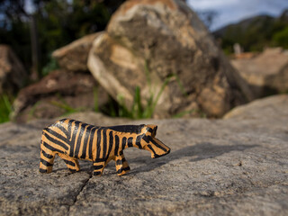 Handcrafted wooden animal figurines photographed in natural environments at sunset in a farm house near the colonial town of Villa de Leyva, in Colombia.