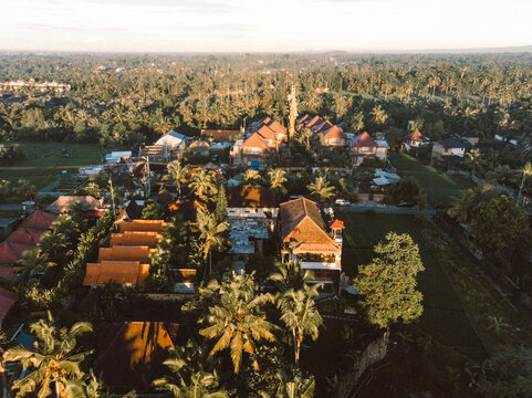 Aerial view of house near fields of palm trees