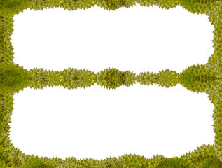 green durian volumetric framework barbed border on white background, asian exotic decoration