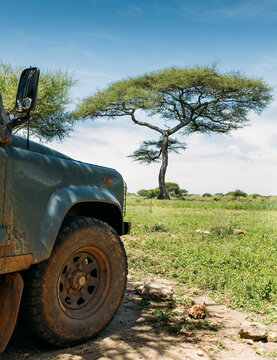 Tarangire National Park, Tanzania's Manyara Region. Safari Off-road large vehicle dirty front wheel with Lonely tree with beautiful wide-angle bright blue sky.