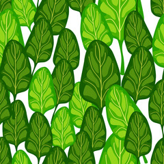 Seamless pattern Spinach salad on white background. Modern ornament with lettuce.