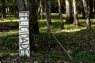 Forest with a wooden sign with the word Happiness written in Portuguese.