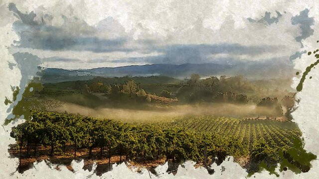 Vineyard landscape with watercolor reveal effect