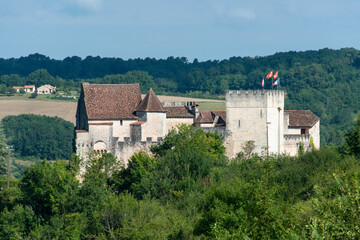 Fototapeta na wymiar Château de Grignols, xiiie siècle, Grignols, Dordogne, 24