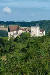 Fototapeta na wymiar Château de Grignols, xiiie siècle, Grignols, Dordogne, 24