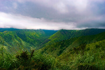 A beautiful landscapes from Ooty, Tamil Nadu, India