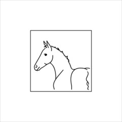 Obraz na płótnie Canvas Portrait of a cute foal in a frame 