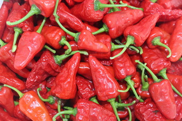 Pimientos Rojos