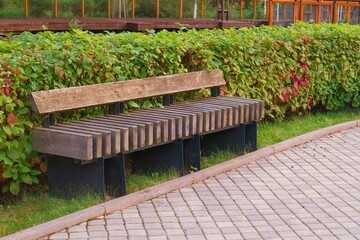 Modern wooden bench at public park or street with green hedge along footpath on blurred background.Focus on foreground.