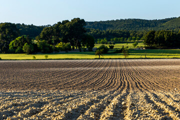 Cultivated field with tilled soil in the farm.