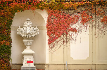 wall with creeper plant and statue in Vienna autumn season