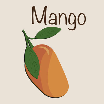 Mango Vector